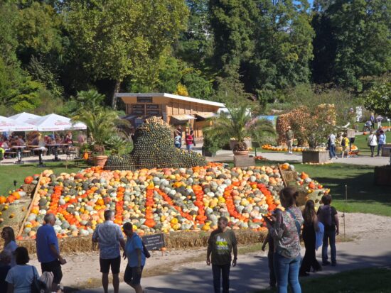 Fahrt nach Ludwigsburg zur Kürbisausstellung